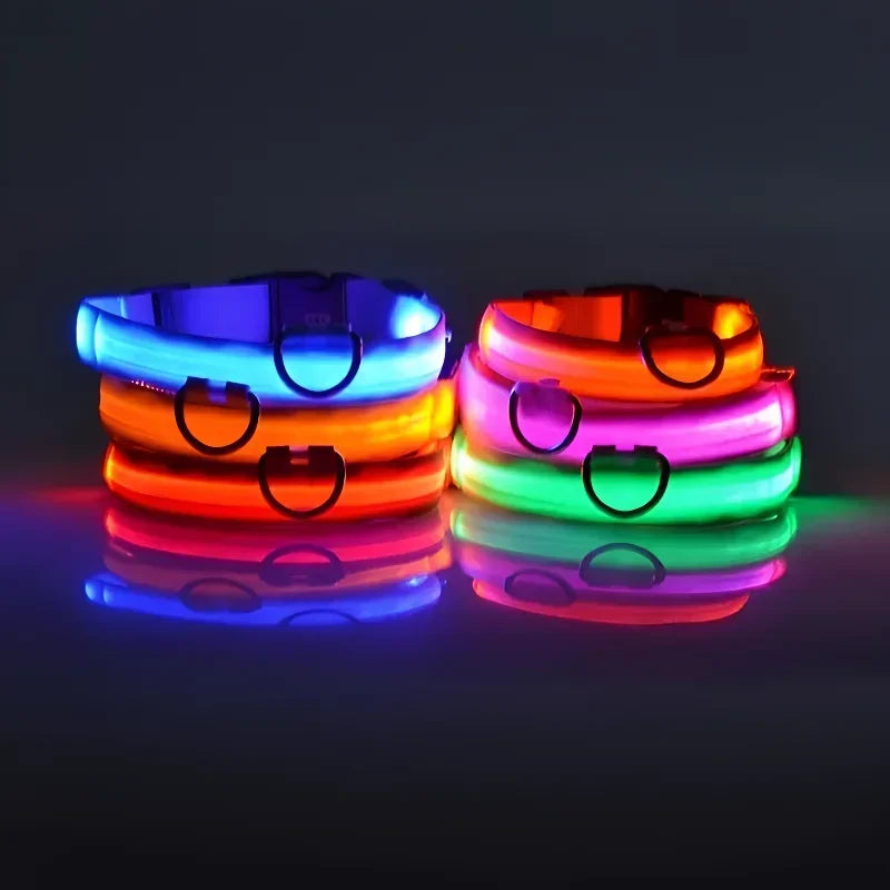 LED Night Safety Nylon Dog Collar
