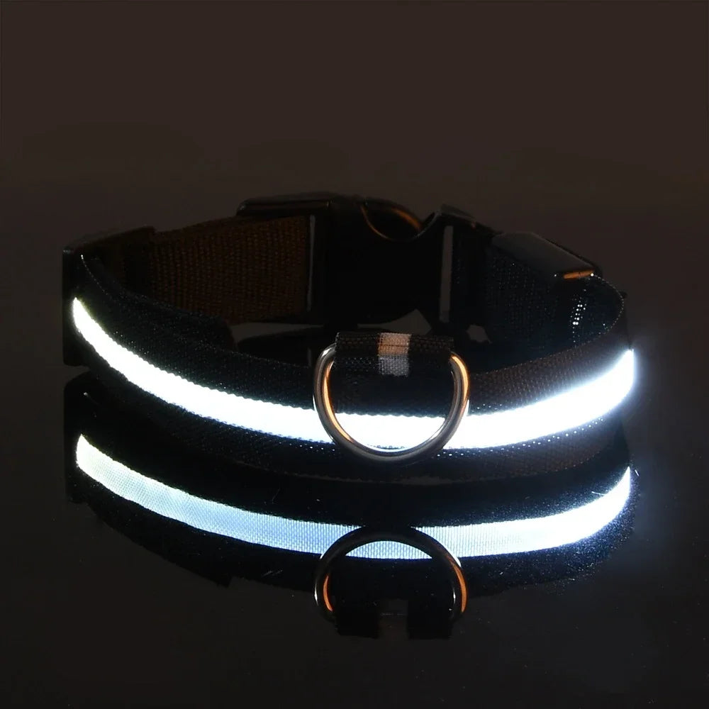 LED Night Safety Nylon Dog Collar