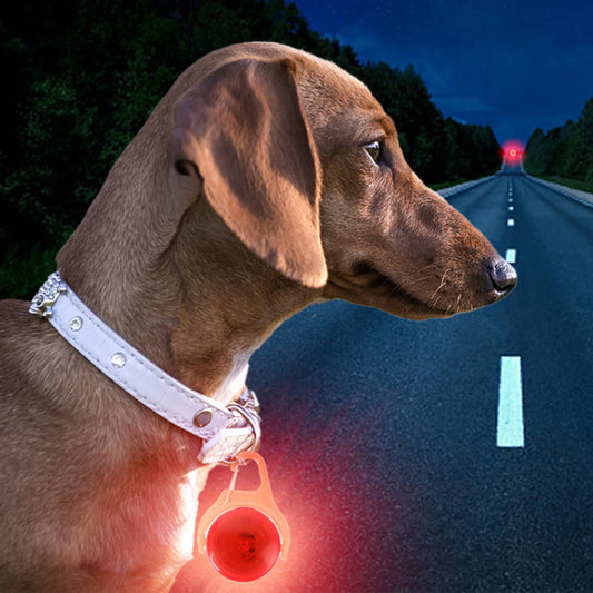 LED Glow Pendant for Pet Collars